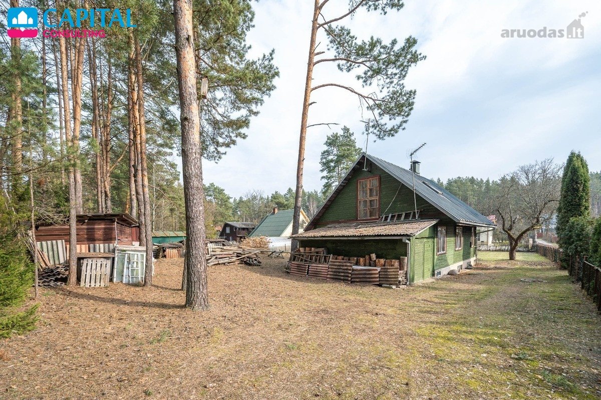 Šskirtinėje Vietoje - Miškų Apsuptyje Bei - nuotraukos Nr. 5