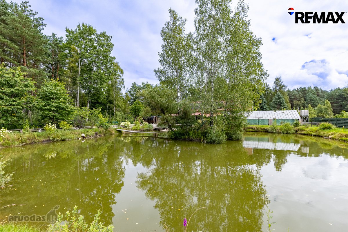 Ramybė Ir Gamtos Apsuptis – Jūsų Naujuose - nuotraukos Nr. 19