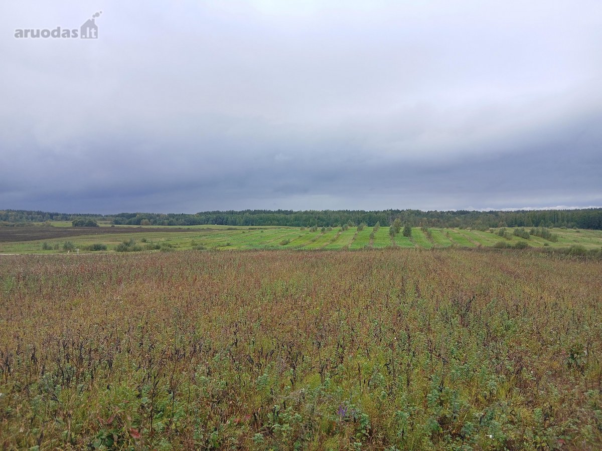 Sklypas Su Panorama Tvenkinių Bei Ežerų - nuotraukos Nr. 4