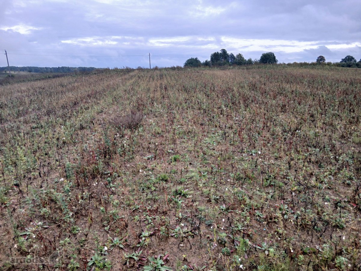 Sklypas Su Panorama Tvenkinių Bei Ežerų - nuotraukos Nr. 7