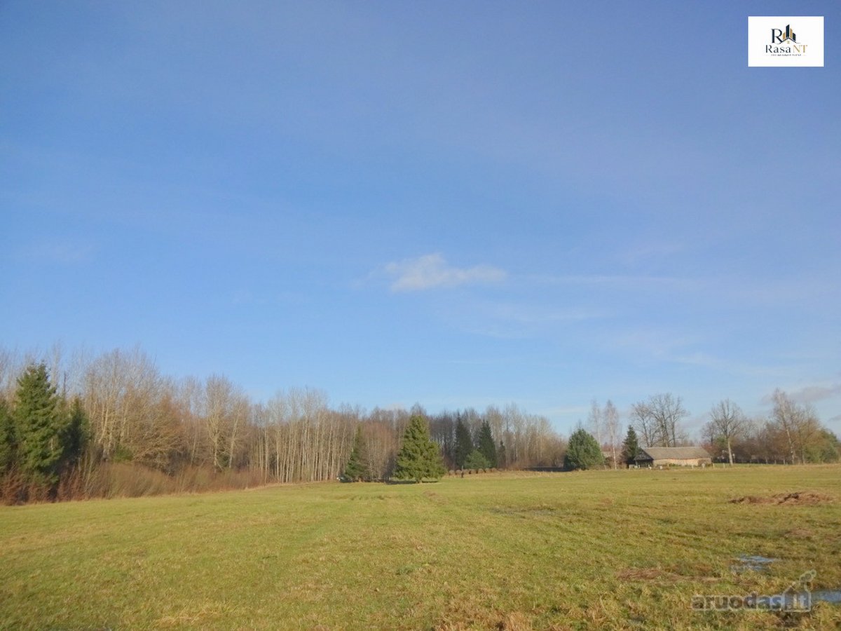 Parduodamas 2,66ha žemės ūkio paskirties - nuotraukos Nr. 4