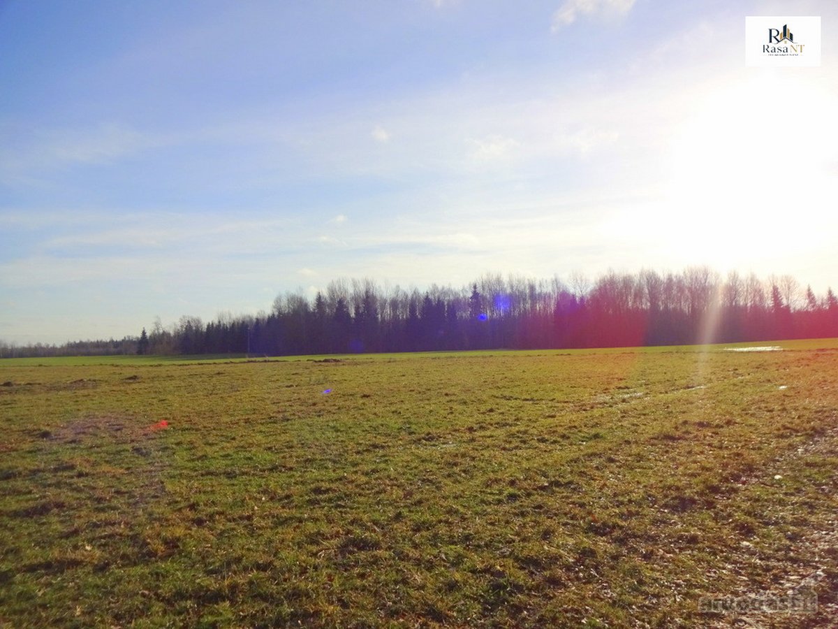 Parduodamas 2,66ha žemės ūkio paskirties - nuotraukos Nr. 5