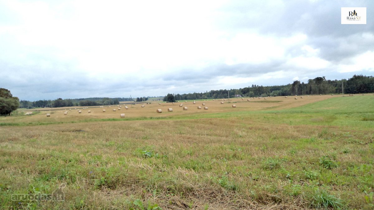 Parduodamas 2,66ha žemės ūkio paskirties - nuotraukos Nr. 10