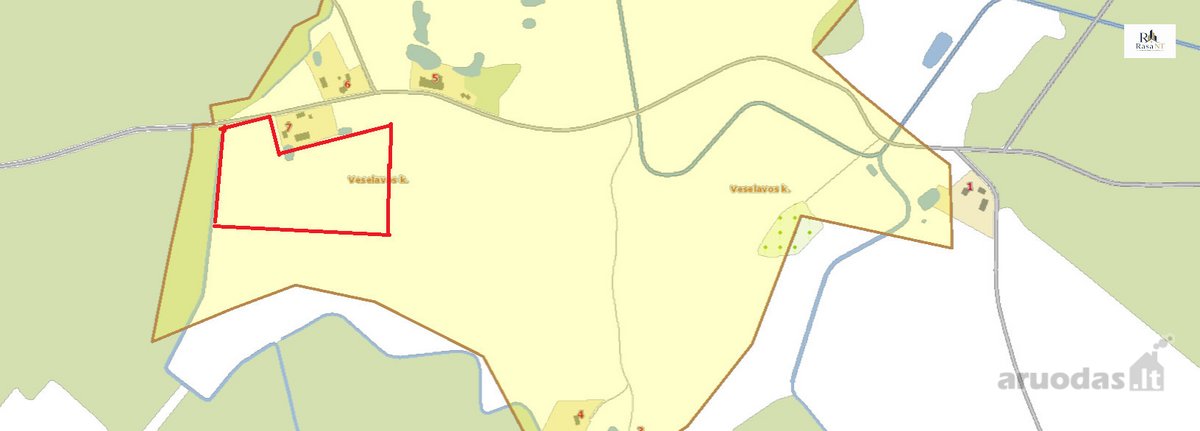 Parduodamas 2,66ha žemės ūkio paskirties - nuotraukos Nr. 11