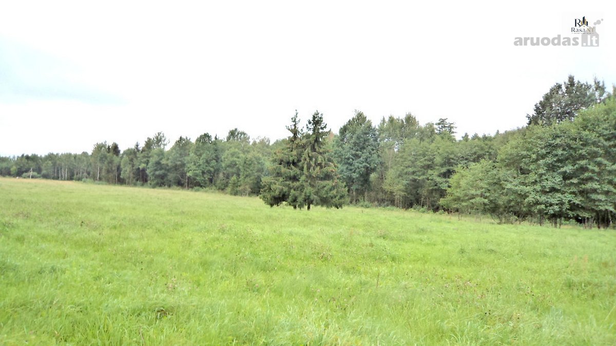 Parduodamas 2,66ha žemės ūkio paskirties - nuotraukos Nr. 20