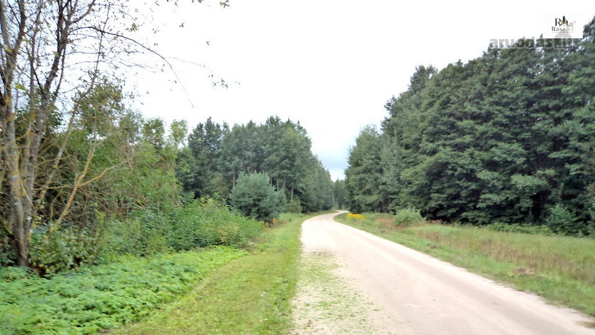 Parduodamas 2,66ha žemės ūkio paskirties - nuotraukos Nr. 19