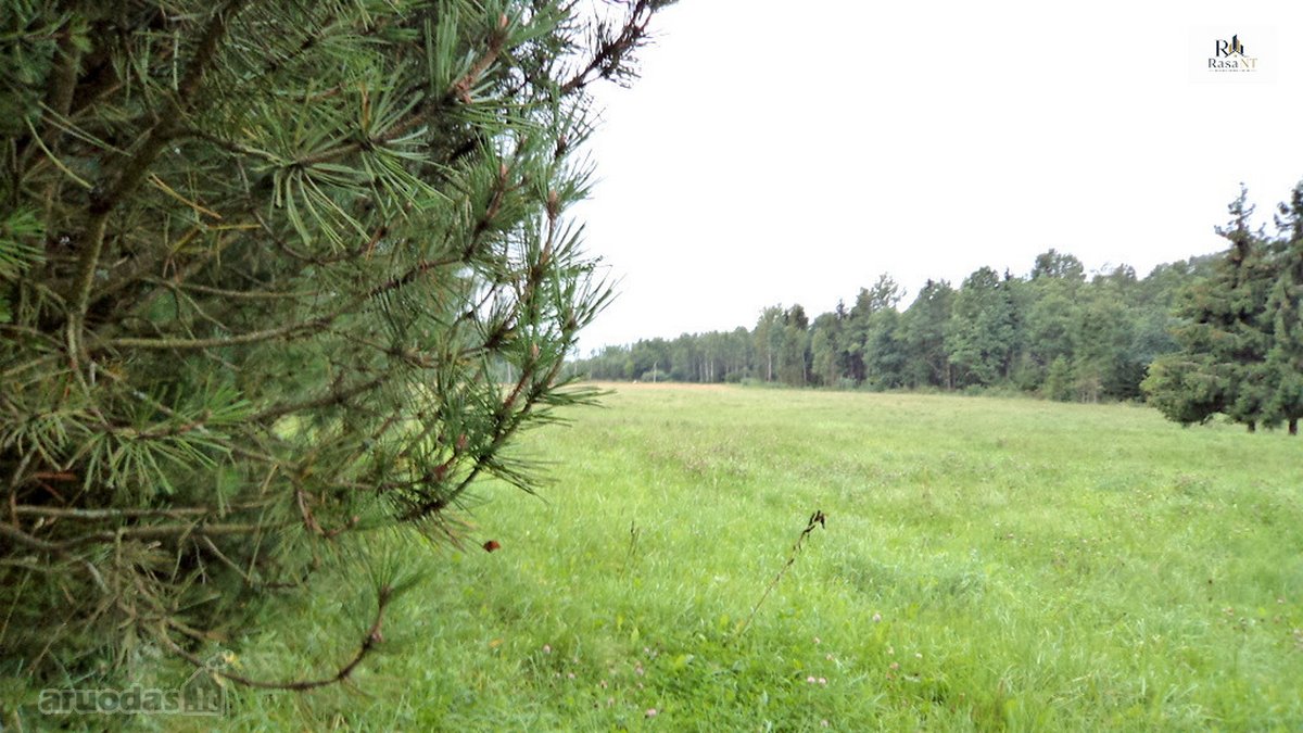 Parduodamas 2,66ha žemės ūkio paskirties - nuotraukos Nr. 17