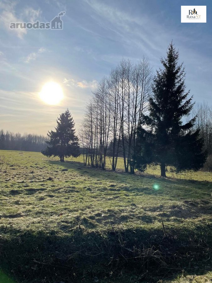 Parduodamas 2,66ha žemės ūkio paskirties - nuotraukos Nr. 6