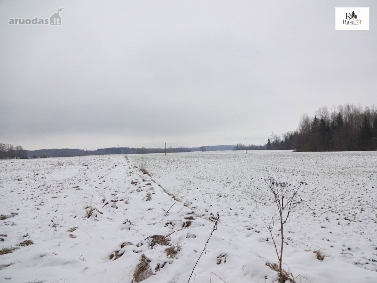 Parduodamas 2,66ha žemės ūkio paskirties - nuotraukos Nr. 29