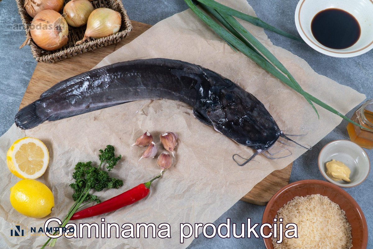 Tik 9 km nuo Prienų parduodamos patalpos su - nuotraukos Nr. 16