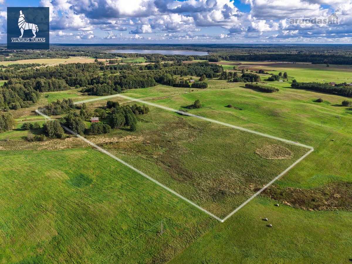 Dusmenėliai  Kai Penktadienis Turi Kryptį - nuotraukos Nr. 25