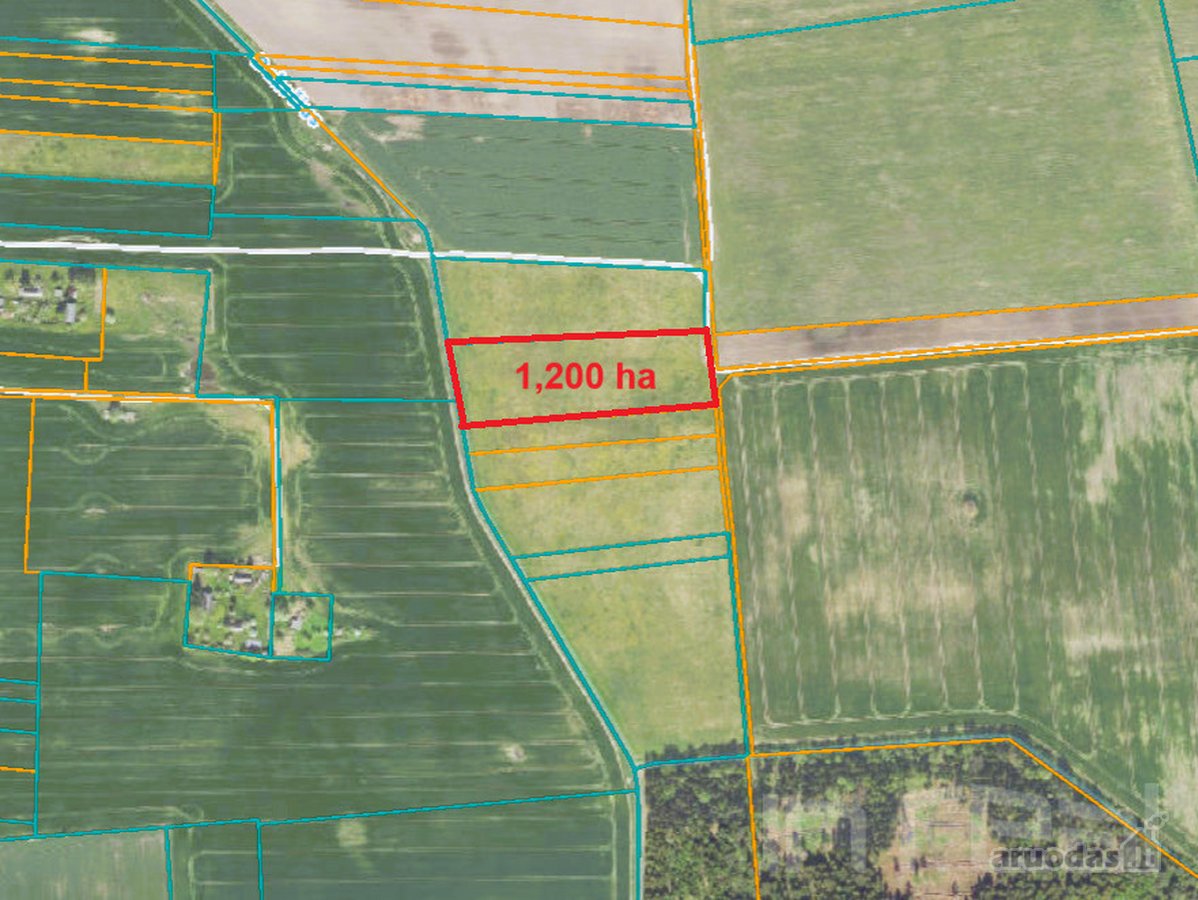 Parduodamas 1,2 Ha Sklypas Kirkūnų K., - nuotraukos Nr. 2
