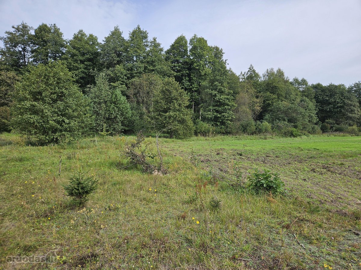 Parduodamas 1,00 hektaro žemės ūkio - nuotraukos Nr. 10