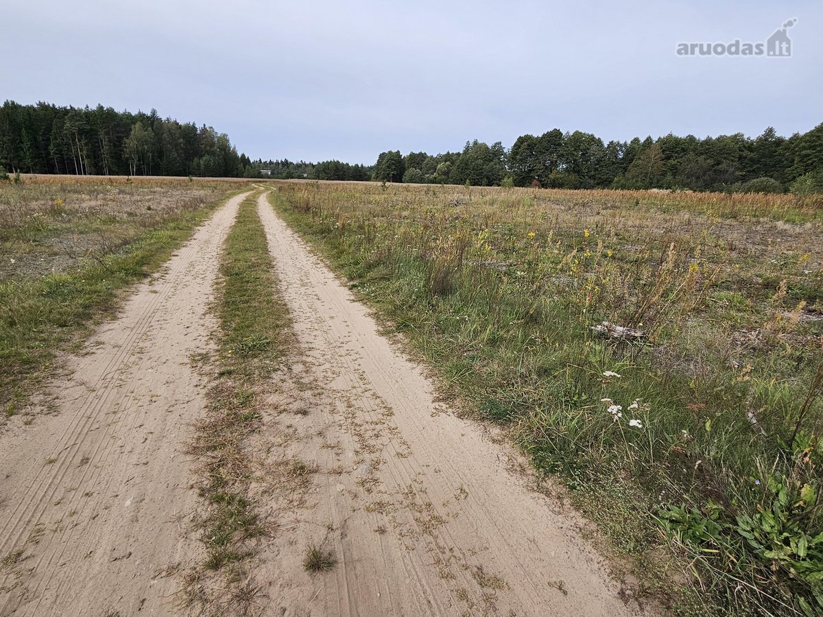Parduodamas 1,00 hektaro žemės ūkio - nuotraukos Nr. 11