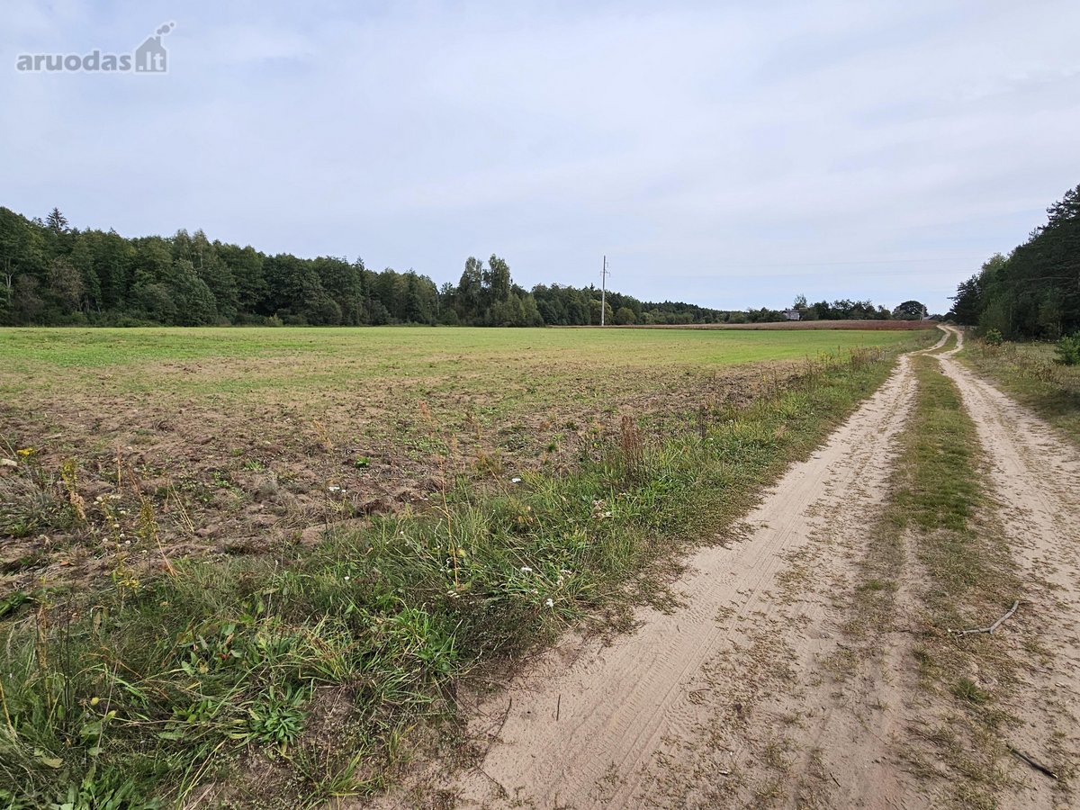Parduodamas 1,00 hektaro žemės ūkio - nuotraukos Nr. 12