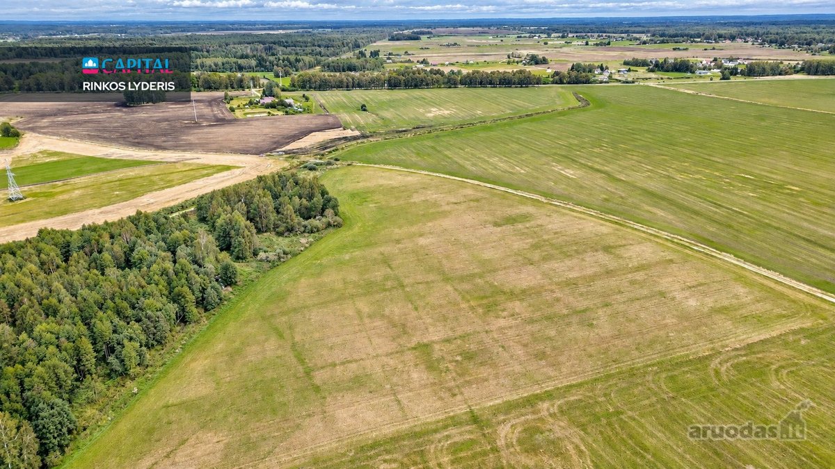 Širvintų R. juodelių Kaime Parduodamas 2,70 - nuotraukos Nr. 4