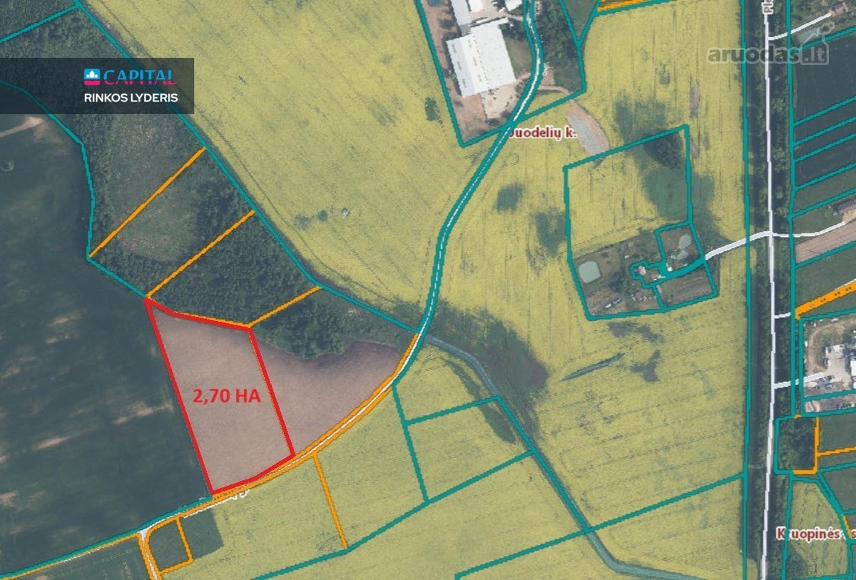 Širvintų R. juodelių Kaime Parduodamas 2,70 - nuotraukos Nr. 5