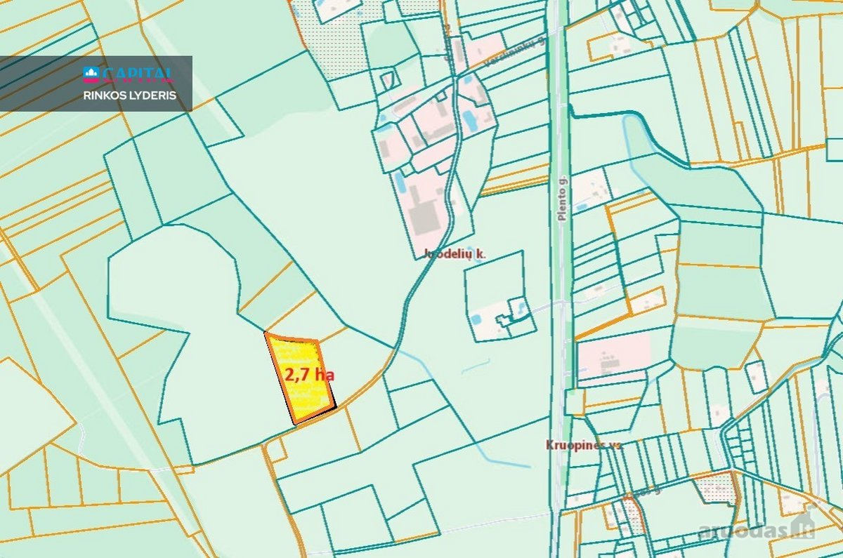 Širvintų R. juodelių Kaime Parduodamas 2,70 - nuotraukos Nr. 6