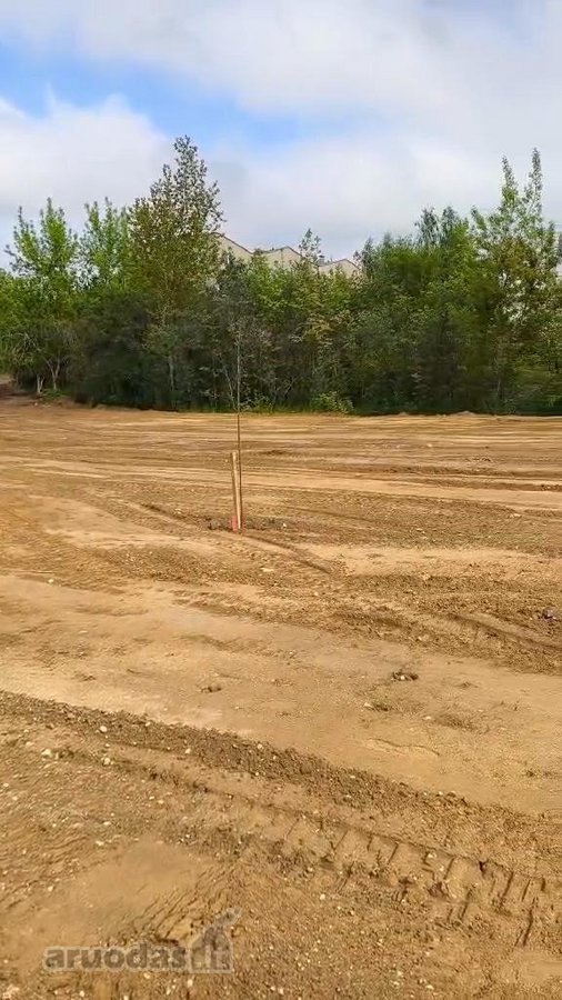 25,50 a išlygintas sklypas Pilaitėje – - nuotraukos Nr. 5