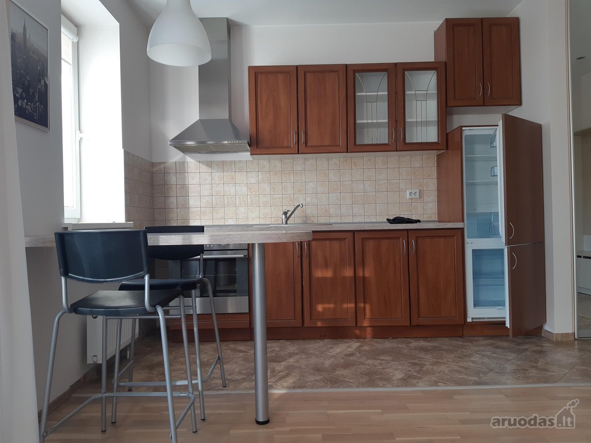 Išnuomojamas gerai įrengtas, jaukus 1 - nuotraukos Nr. 3