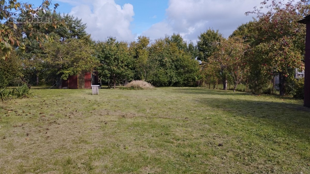 Skubiai parduodama gyvenama rąstinė sodyba su - nuotraukos Nr. 19
