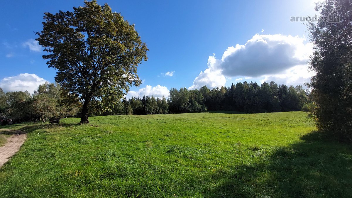Išskirtinė Sodyba-vienamekis – Virš 7 Ha - nuotraukos Nr. 18