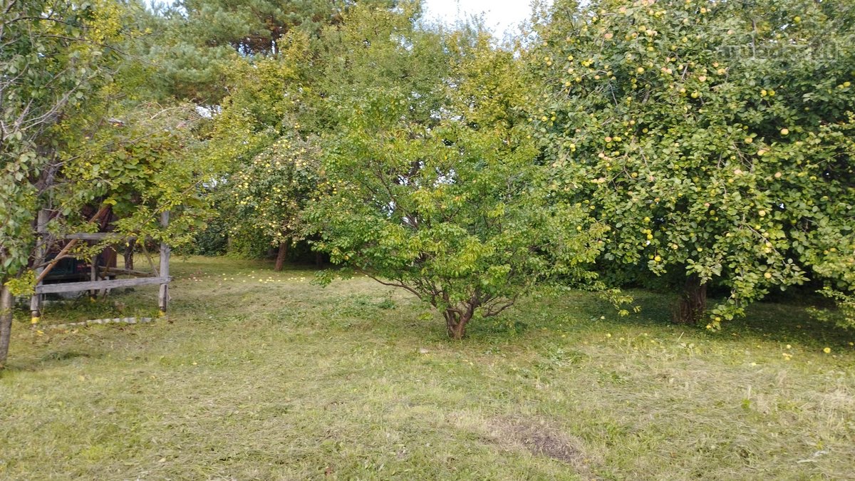 Skubiai parduodama gyvenama rąstinė sodyba su - nuotraukos Nr. 20