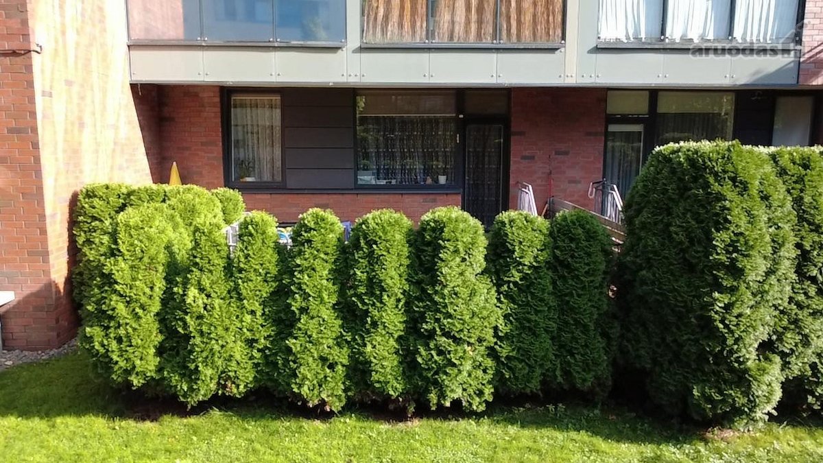Ieškome 3k buto pirkimui šiame rajone. - nuotraukos Nr. 2