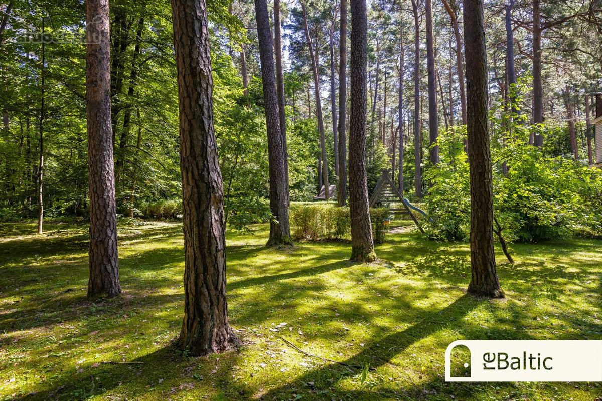 Prestižiniai trijų kambarių apartamentai su - nuotraukos Nr. 39