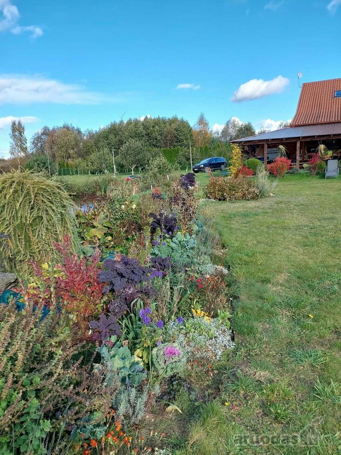 Parduodama sodyba ramioje, gamtos apsuptoje - nuotraukos Nr. 19