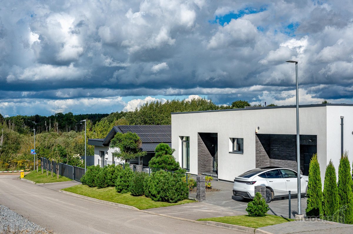 Šviesus Vieno Aukšto Namas Pušų Apsuptyje – - nuotraukos Nr. 45