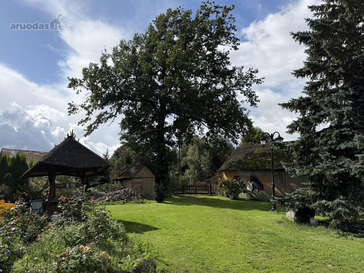 Išskirtinė Sodyba Prie Pat Miško – Privati - nuotraukos Nr. 21
