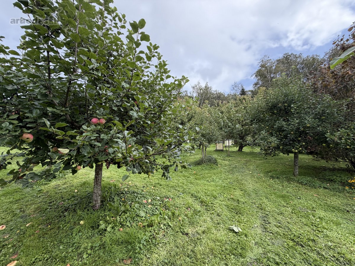 Išskirtinė Sodyba Prie Pat Miško – Privati - nuotraukos Nr. 33