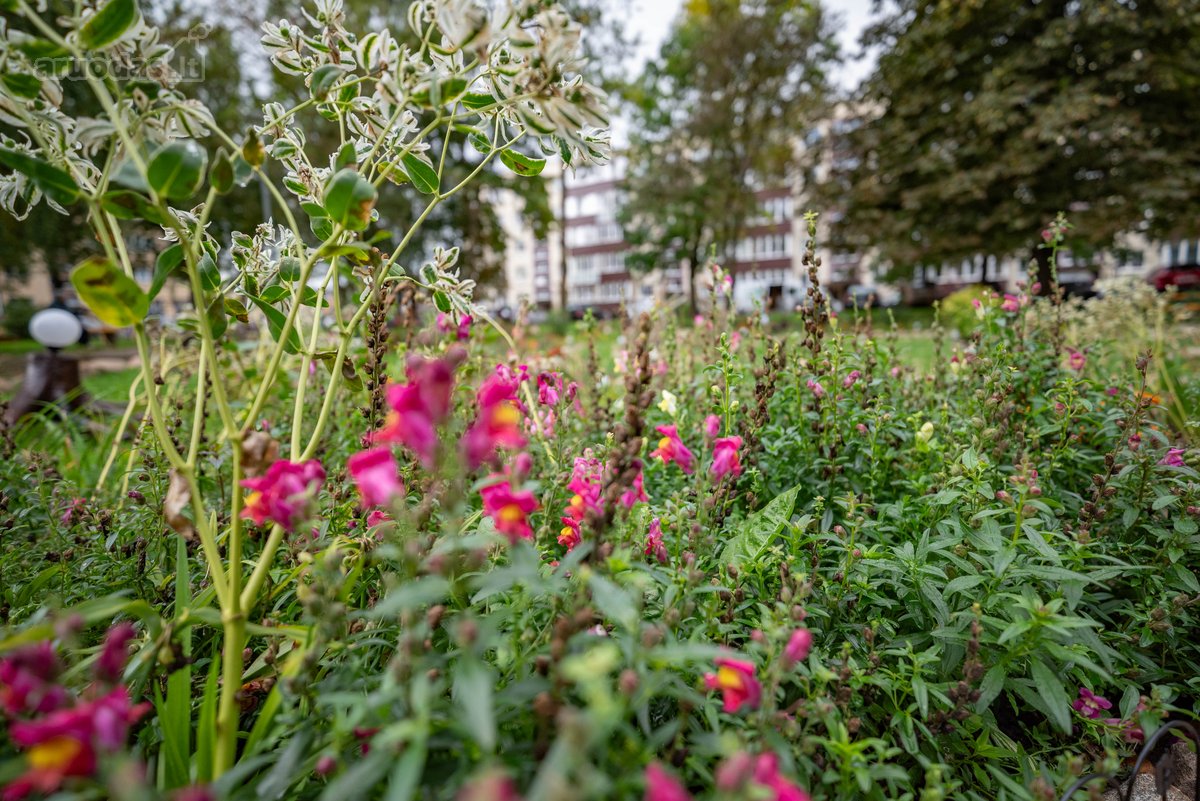 Parduodamas jaukus 3 kambarių butas - nuotraukos Nr. 27