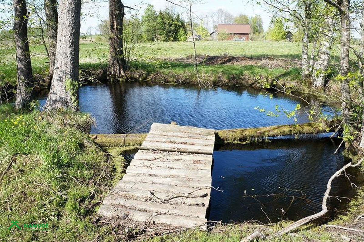 Parduodama jauki ir prižiūrėta sodyba - nuotraukos Nr. 10