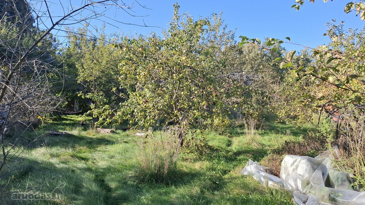 Parduodamas 7,57 arų sodo sklypas su mūriniu - nuotraukos Nr. 12