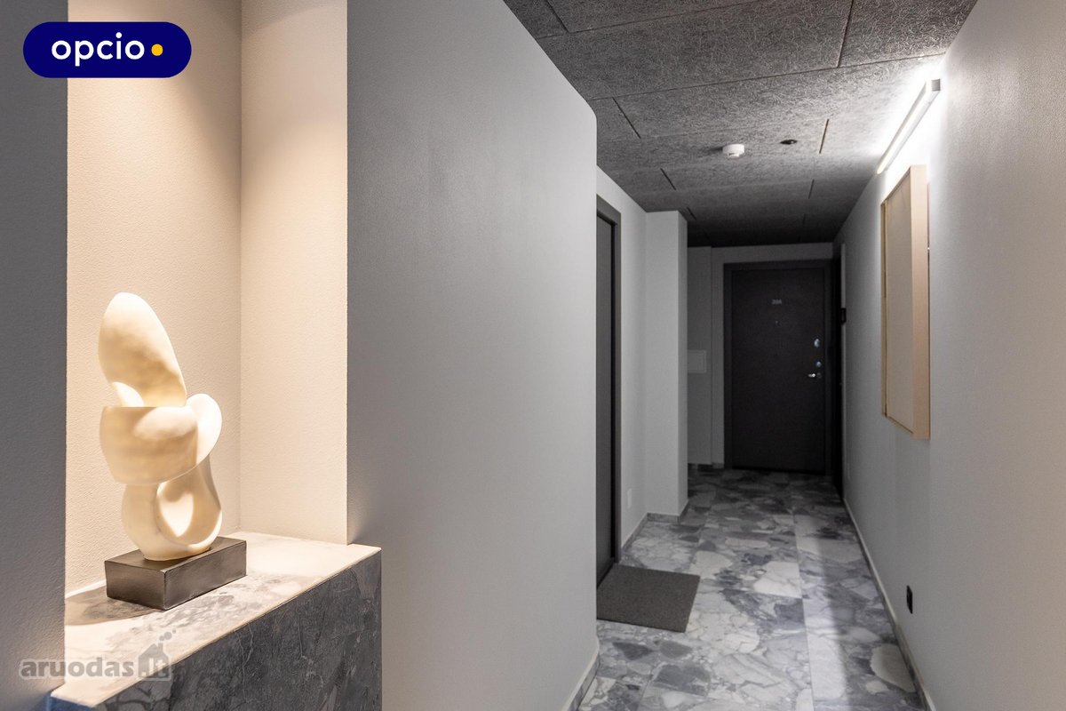 Parduodami 1 Kambario Apartamentai - nuotraukos Nr. 17