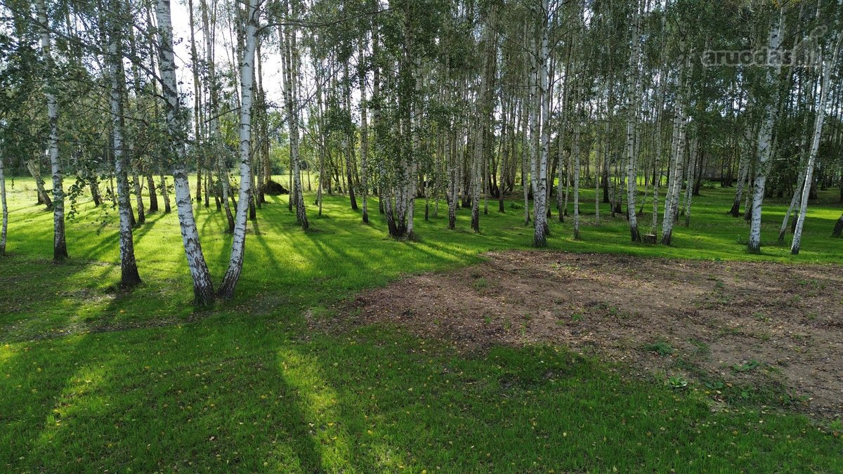 100 Beržų  66,20 A Rekreacinis Sklypas Su - nuotraukos Nr. 10