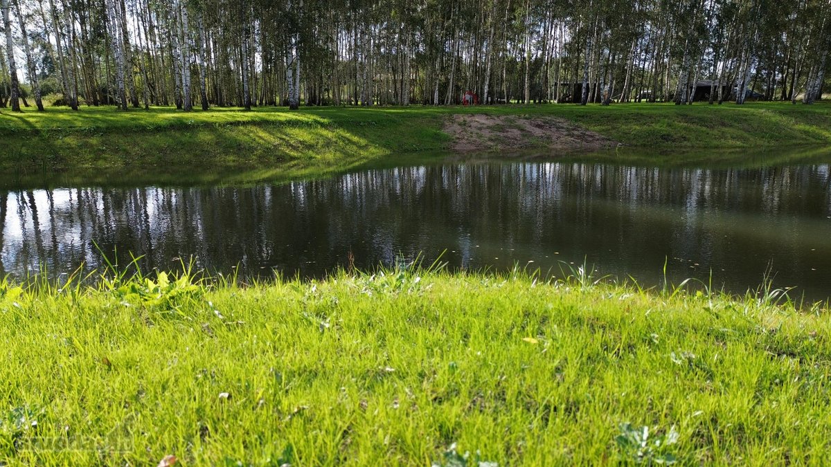 100 Beržų  66,20 A Rekreacinis Sklypas Su - nuotraukos Nr. 12