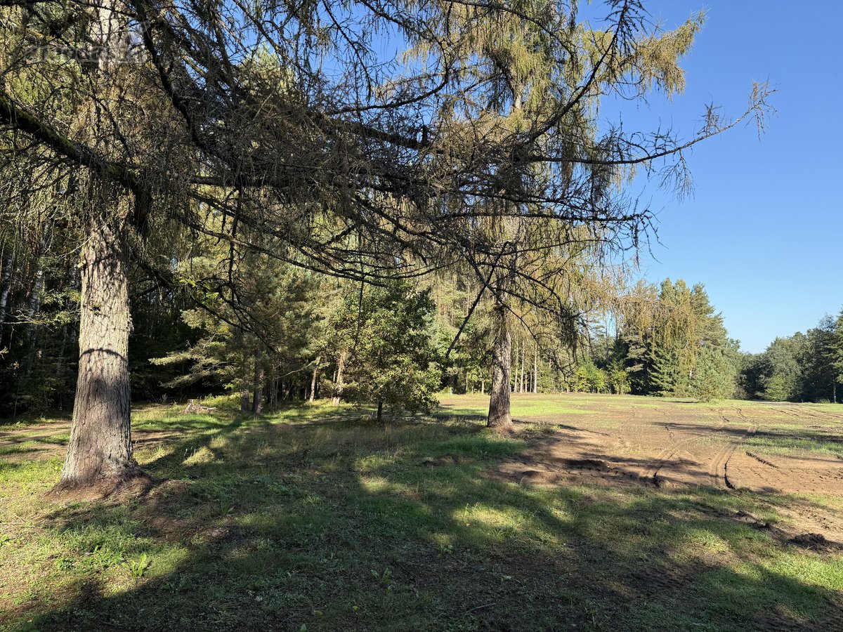 Parduodami Trys Sklypai Altoniškiuose – Namų - nuotraukos Nr. 4