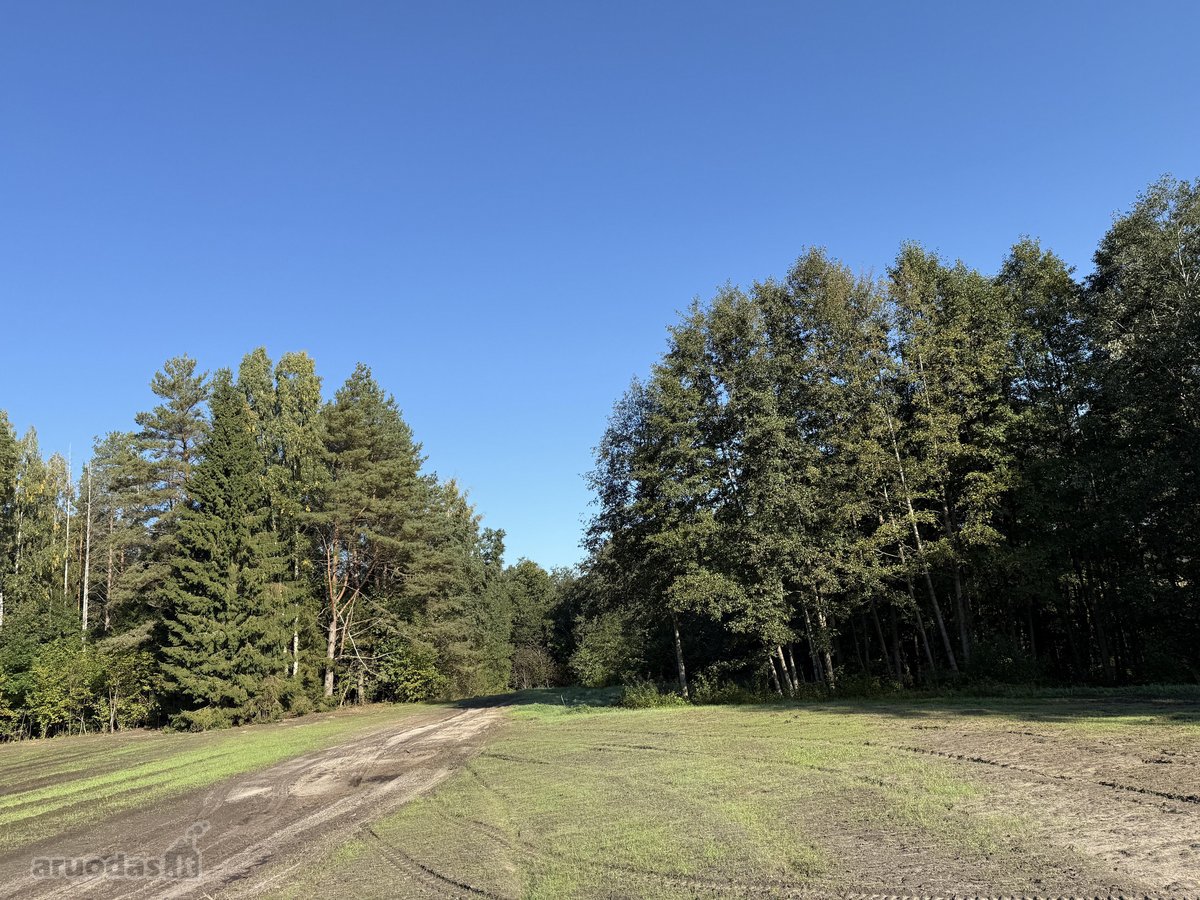Parduodami Trys Sklypai Altoniškiuose – Namų - nuotraukos Nr. 16