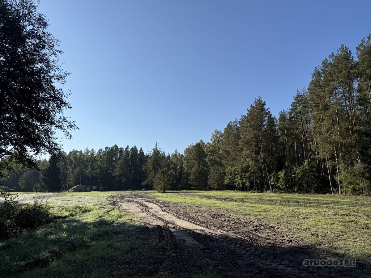 Parduodami Trys Sklypai Altoniškiuose – Namų - nuotraukos Nr. 11