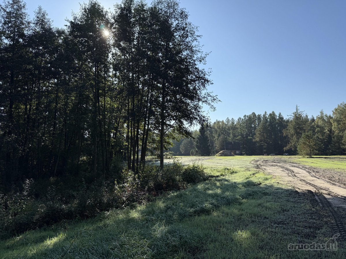 Parduodami Trys Sklypai Altoniškiuose – Namų - nuotraukos Nr. 12
