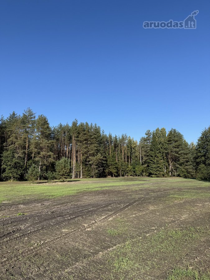 Parduodami Trys Sklypai Altoniškiuose – Namų - nuotraukos Nr. 8