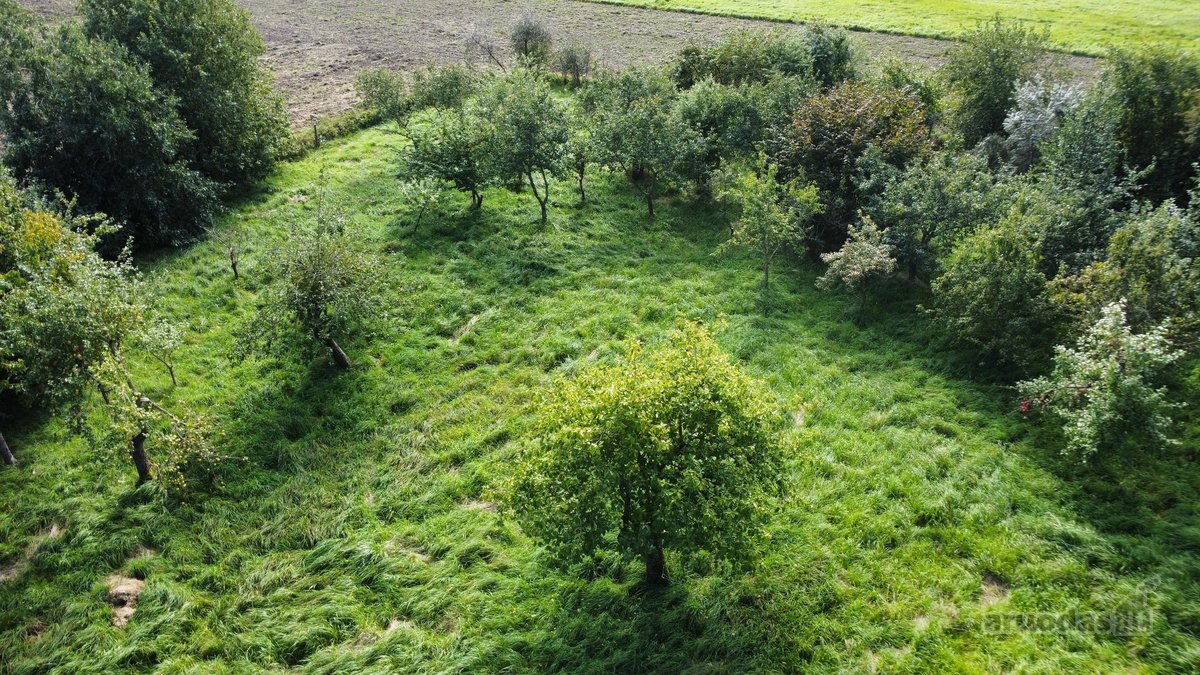Erdvus 47,27 A Sklypas Su Namu, Tvenkiniu Ir - nuotraukos Nr. 7