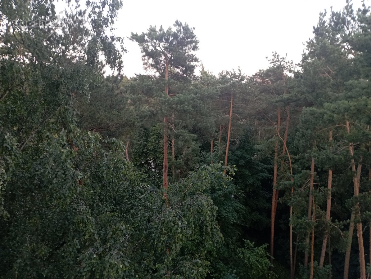 Parduodamas šviesus ir tvarkingas 4 kambarių - nuotraukos Nr. 17