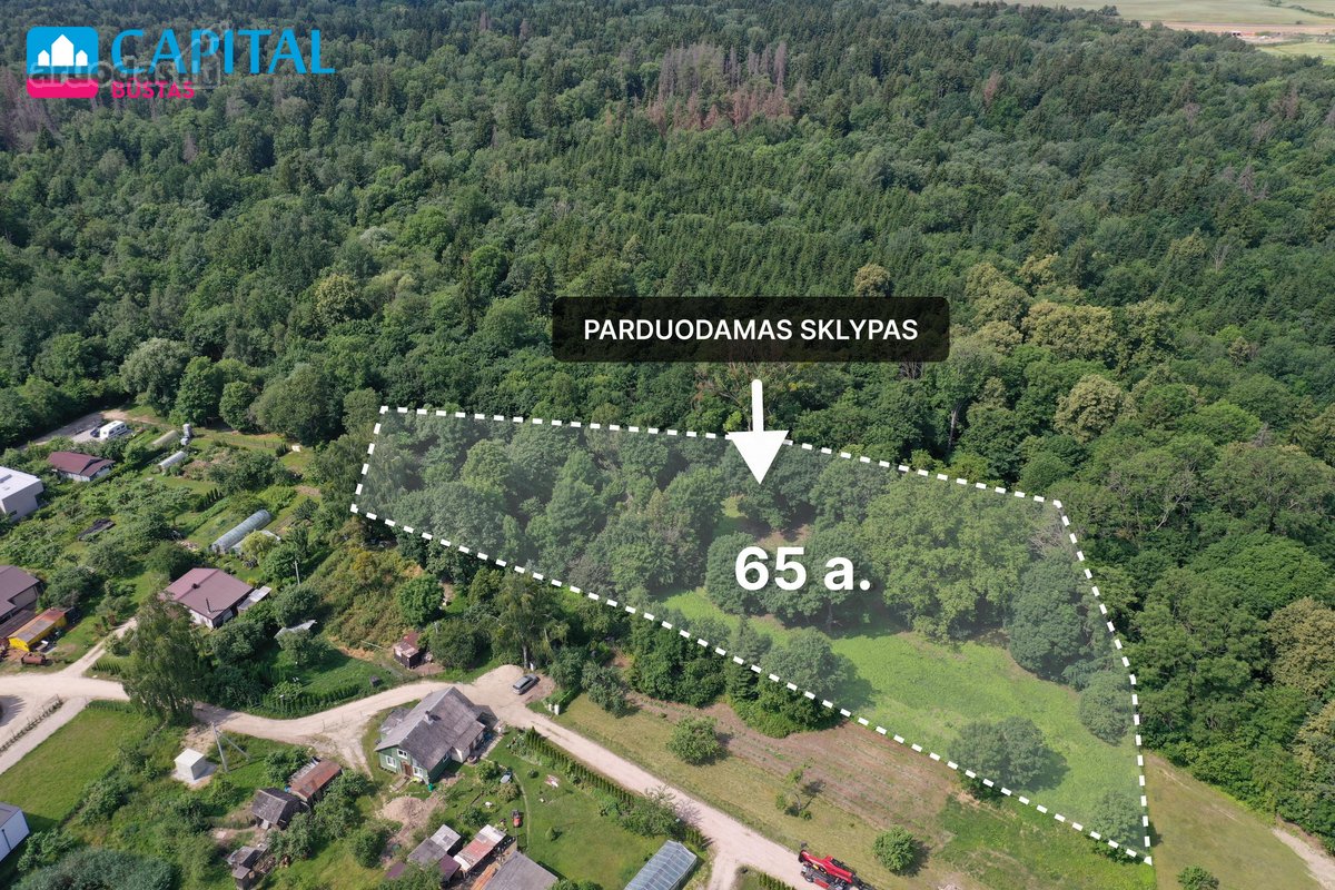Parduodamas Išskirtinis 64,94 a Namų Valdos - nuotraukos Nr. 3