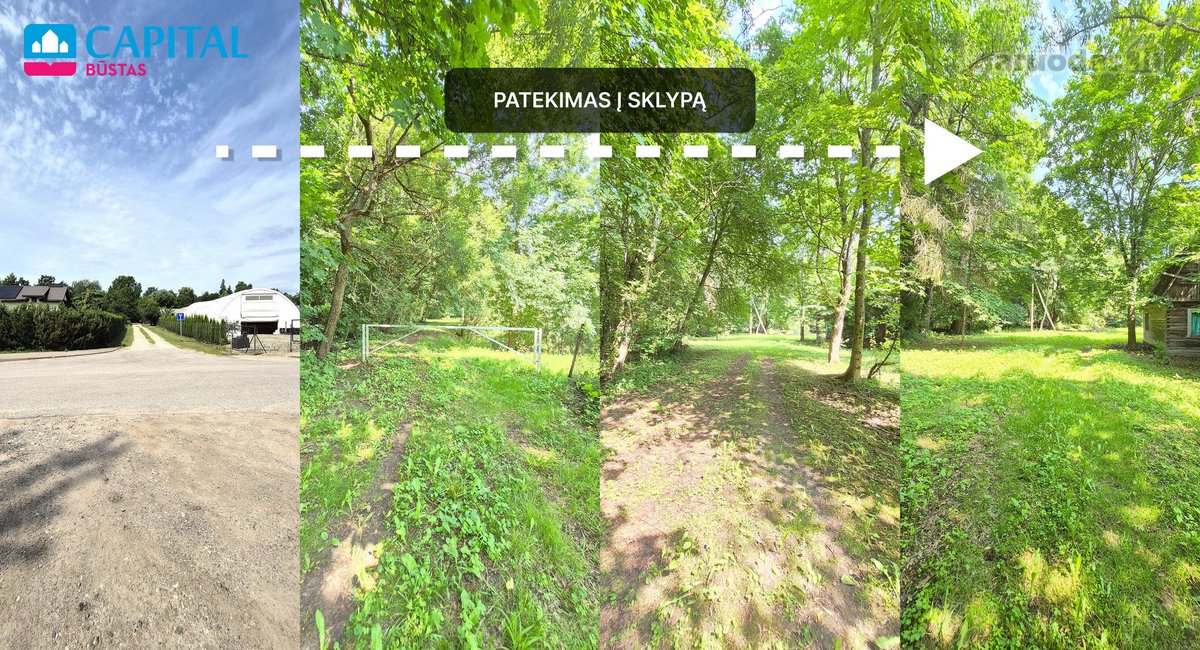 Parduodamas Išskirtinis 64,94 a Namų Valdos - nuotraukos Nr. 5
