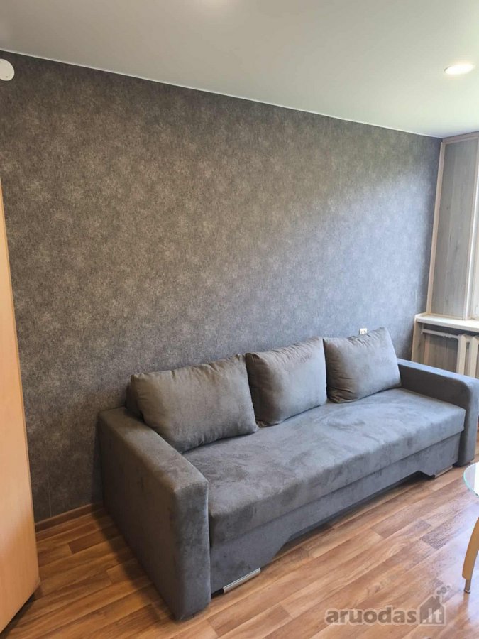 Pačiame miesto centre, Žvėryne, išnuomojamas - nuotraukos Nr. 3