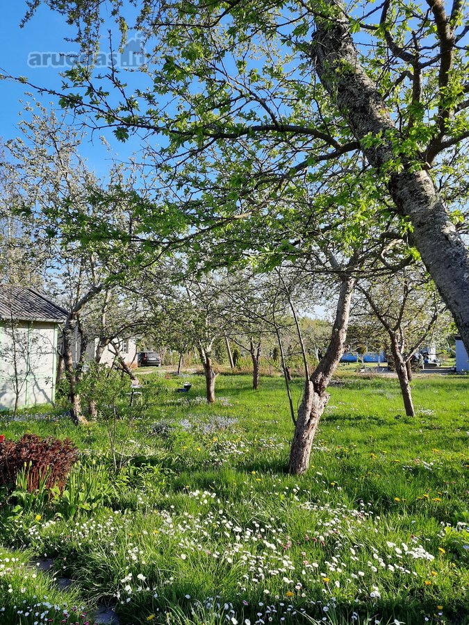 Parduodamas Sodo Sklypas– Su Šuliniu, - nuotraukos Nr. 2